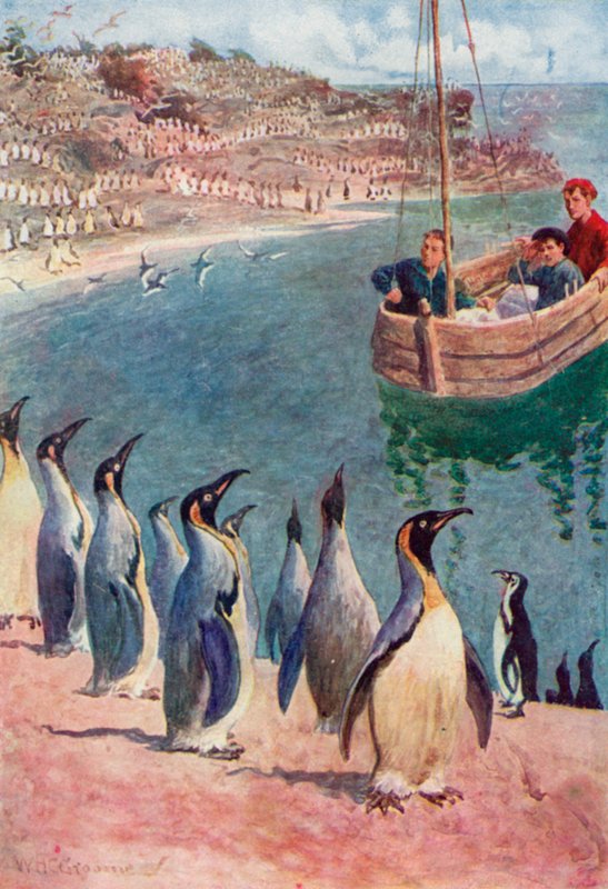 We keken met verbazing en plezier naar de vogels, zij keken met interesse terug door William Henry Charles Groome