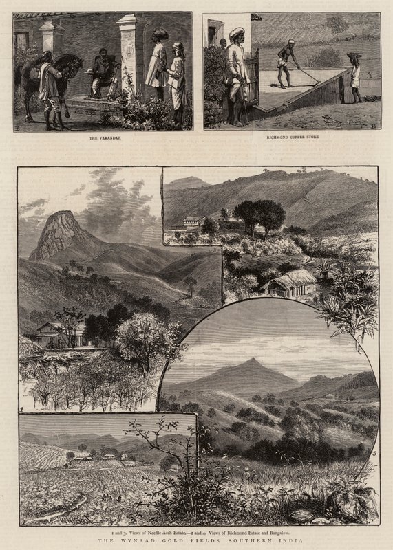 De Wynaad Goudvelden, Zuid-India door William Henry James Boot