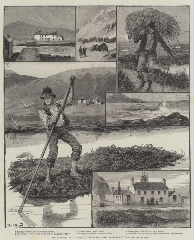 De nood in het westen van Ierland door William Heysham Overend