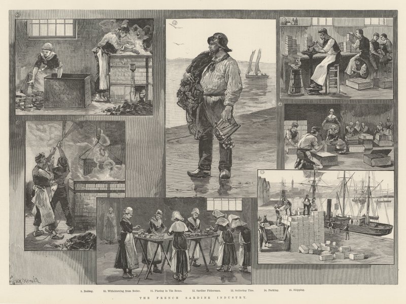 De Franse Sardine-industrie door William Heysham Overend