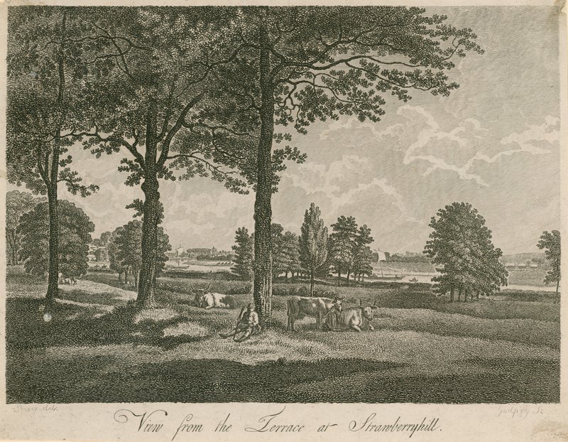 Uitzicht vanaf het terras van Strawberry Hill, Londen door William Pars