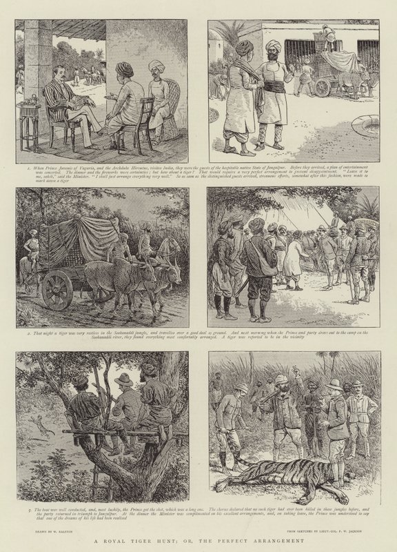Een koninklijke tijgerjacht, of, de perfecte regeling door William Ralston