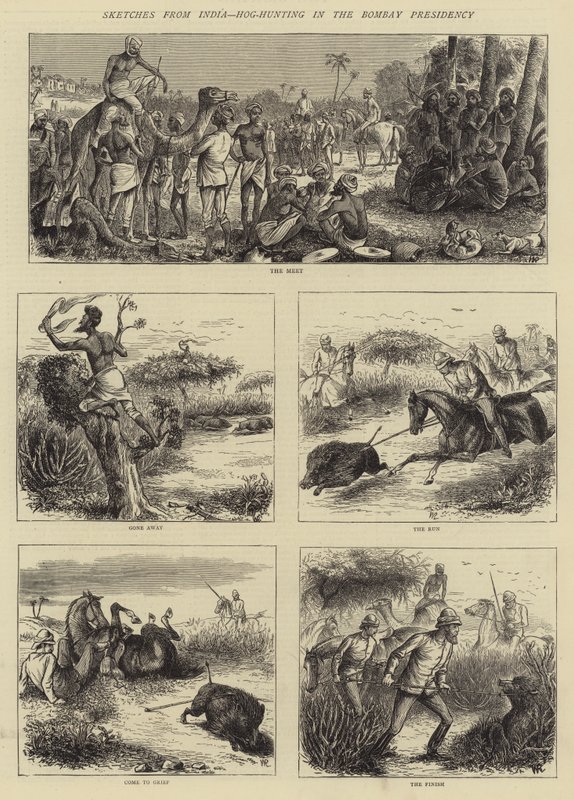 Schetsen uit India, Varkensjacht in het Bombay Voorzitterschap door William Ralston