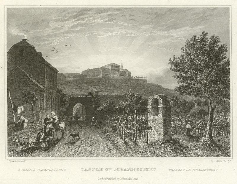 Kasteel van Johannesberg door William Tombleson