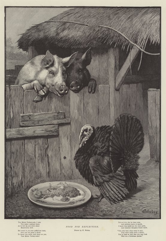 Voedsel voor Reflectie door William Weekes