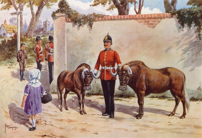 Wildebeesten (of Witstaart Gnoe), Huisdieren van de South Wales Borderers door after Edgar Alfred Holloway