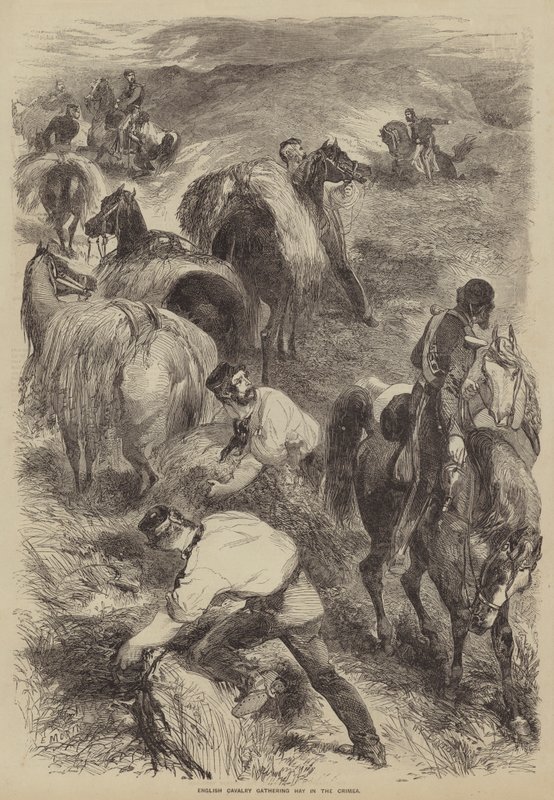 Engelse Cavalerie die Hooi Verzamelt in de Krim door after Edmond Morin
