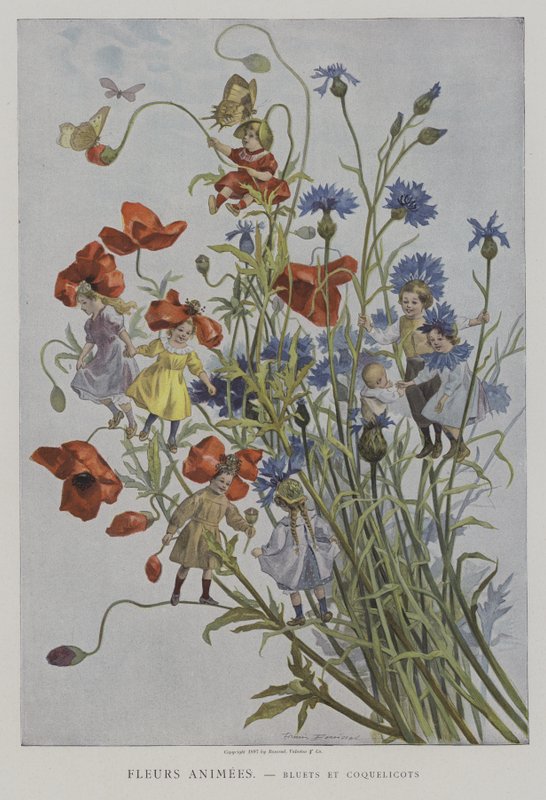 Geanimeerde Bloemen: korenbloemen en klaprozen door after Firmin Bouisset