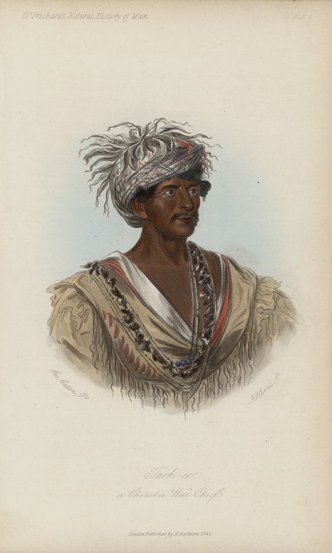 Tuch-ee, een Cherokee Oorlogshoofd (aquatint) door after George Catlin