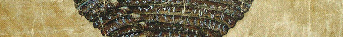 Illustratie bij Dante Alighieri's Goddelijke Komedie: Afgrond van de hel, 1480-1490 (Sandro Botticelli), Detail: Trichterspitze zum Eisgrund