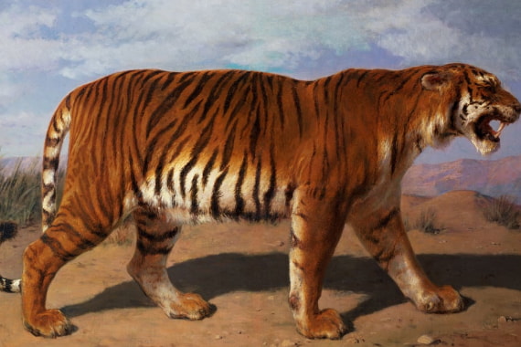 Wilde Dieren