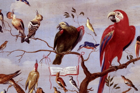 Vogels