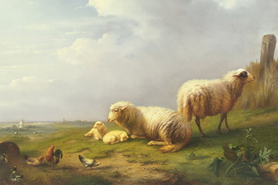 Boerderijdieren