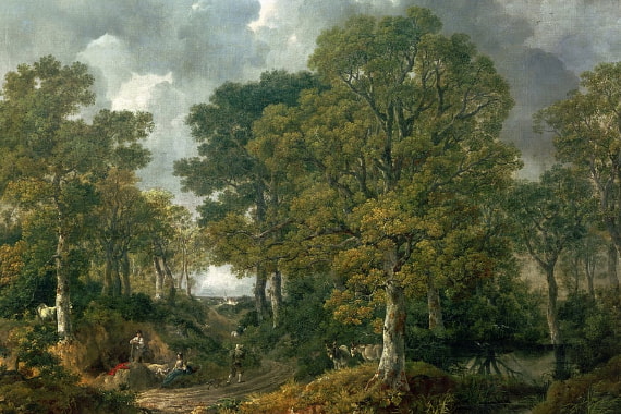 Forest