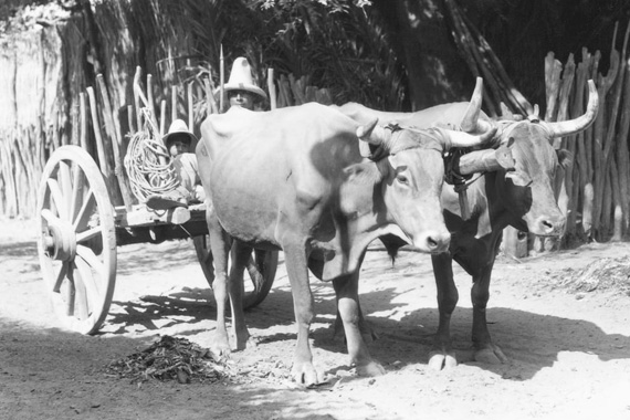 Vintage fotos