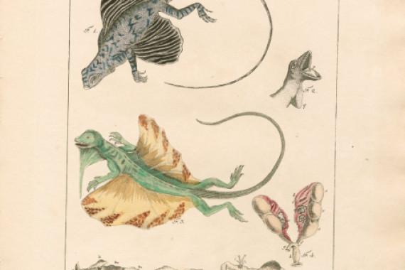 Ludwig Christoph Tyroff