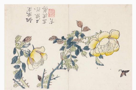 Wen-shu Chao