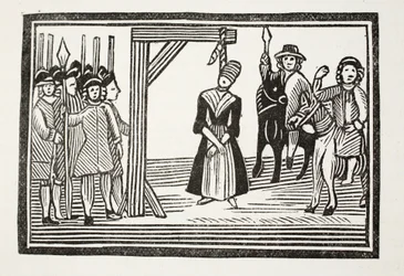 Het hele leven en avonturen van Miss Davis, algemeen bekend als De Schoonheid in Vermomming, illustratie uit 