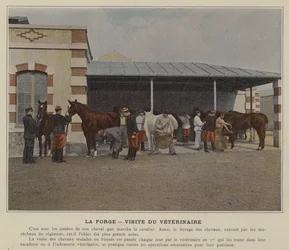 De Smidse, Bezoek van de Dierenarts