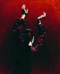 Flamenco Vuur