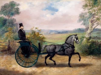 Man in Gig, 1862