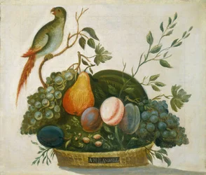 Fruitmand met papegaai