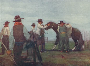 Gauchos temmen een jong paard, 1916