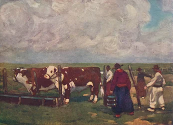 Stamboek Ossen op een Lemco Estancia, 1916