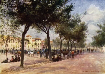 Granada, Markt en Zigeunerbeurs in de Triunfo