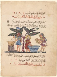 Folio uit een Arabische vertaling van de Materia Medica van Dioscorides, 1224