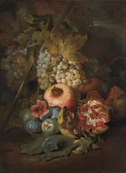 Druiventrossen