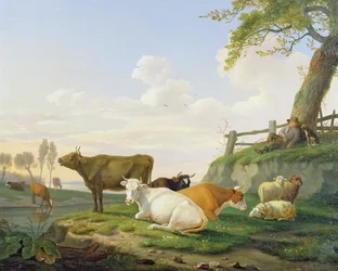 Koeien en herder