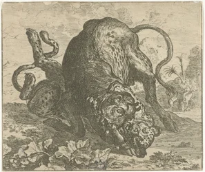 Luipaard en stier