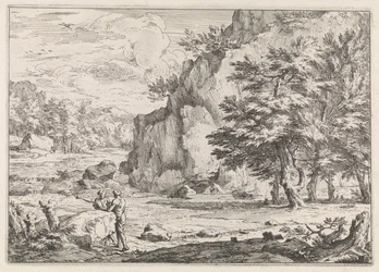 Landschap met rots