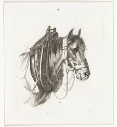 Paardenhoofd met hoofdstel, gareel en zadel