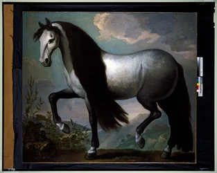 Paard in een Landschap
