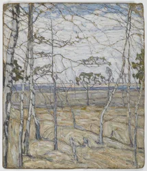 Berkenbomen