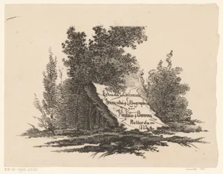 Steen in landschap