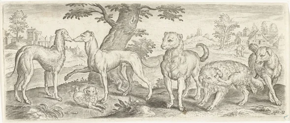 Honden Dieren (series title)