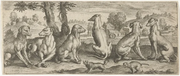 Honden