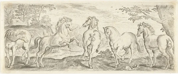 Paarden Dieren