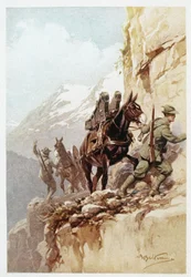 Alpine artillerie - Koerier zondag (kleurendruk)