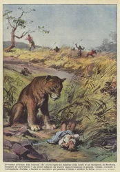 Afrikaanse avonturen