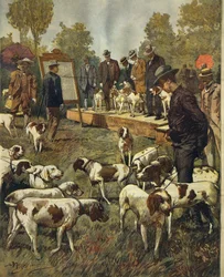 Hondenshow en veldproeven van jachthonden in San Siro (Milaan), door Achille Beltrame (1871-1945), uit La Domenica del Corriere, 2 juli 1899