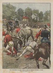Kenmerkende feesten, een Romeins steekspel met koeien in het velodroom van de Cascine, in Florence