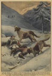 De honden die redden