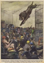 De sprong van een beest