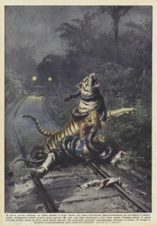 In het hart van het Indiase woud wachtte een man op de trein nabij de spoorlijn