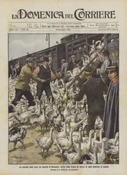 Het tekort aan slachtvlees in Duitsland, aankomst van miljoenen ganzen uit Rusland bestemd voor het volk