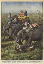 Een bloedig duel tijdens een jachtpartij van de Maharadja van Bikanir, India